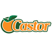 Castor